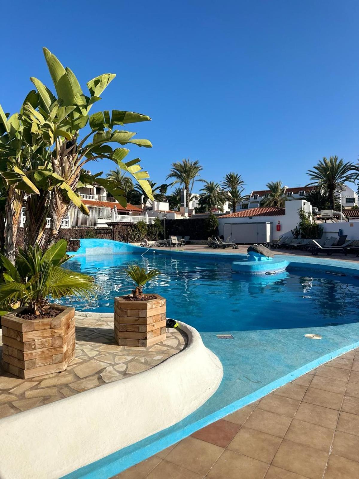 Sunny Sea View Apartment Center Of Las Americas Playa de las Americas  Eksteriør bilde